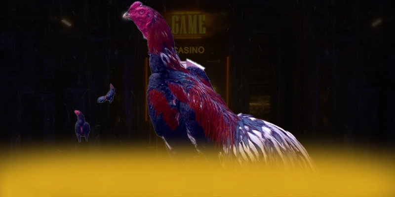 DAGA88 - Trang game được cộng đồng yêu thích nhất hiện nay – Tìm hiểu DAGA88