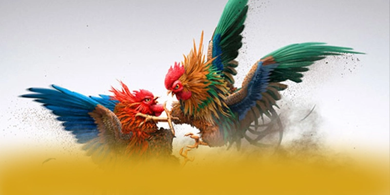 FAFA191 - Nhà cái hiệu năng vượt trội đang làm mưa làm gió