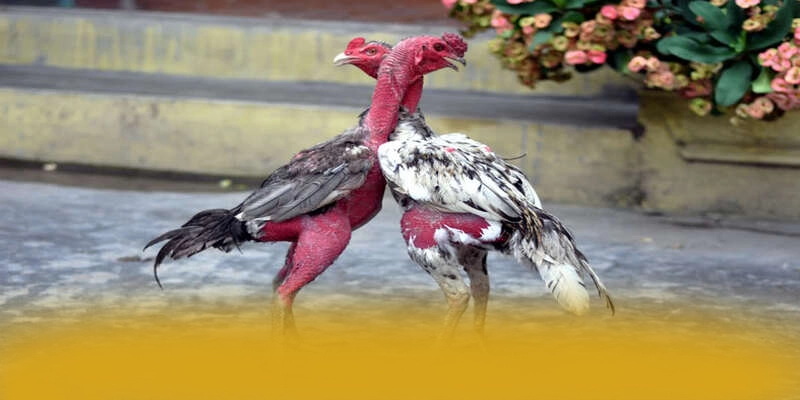 tài xỉu online - Trang game đạt chuẩn quốc tế được cộng đồng game thủ công nhận – Tìm hiểu tài xỉu online