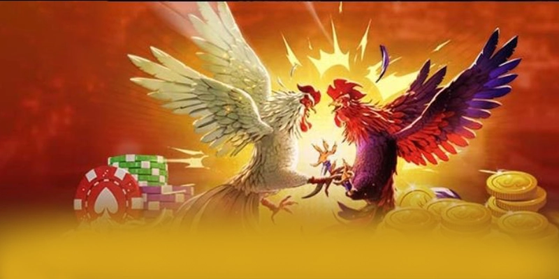 
Trải nghiệm SUNWIN - Cổng trò chơi có thưởng lớn 2025
